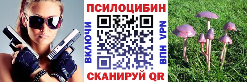 где купить наркоту Зуевка Псилоцибиновые грибы Magic Shrooms